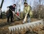 Защитники скверов ответили городской администрации