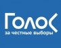 Как минимум 20 наблюдателей от «Голоса» будут следить за выборами губернатора