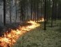 В области произошел первый в этом сезоне лесной пожар